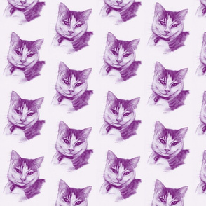 Gizmo Lilac - the Cat