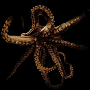 Out of the Depths, Octopus in Sepia