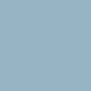 solid light blue-grey (97B4C5)