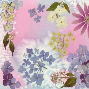 Hydrangea Watercolors