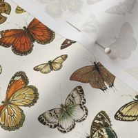 Flutter Butterflies, Natural // standard