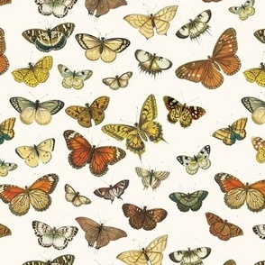 Flutter Butterflies, Natural // standard