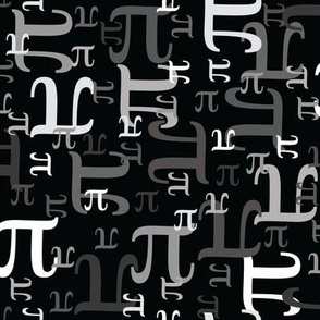 Pieces of Pi (Black & Gray)