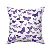 Flutter, Butterflies Purple RePrint