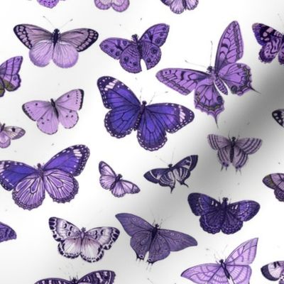 Flutter, Butterflies Purple RePrint