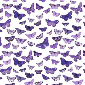 Flutter, Butterflies Purple RePrint