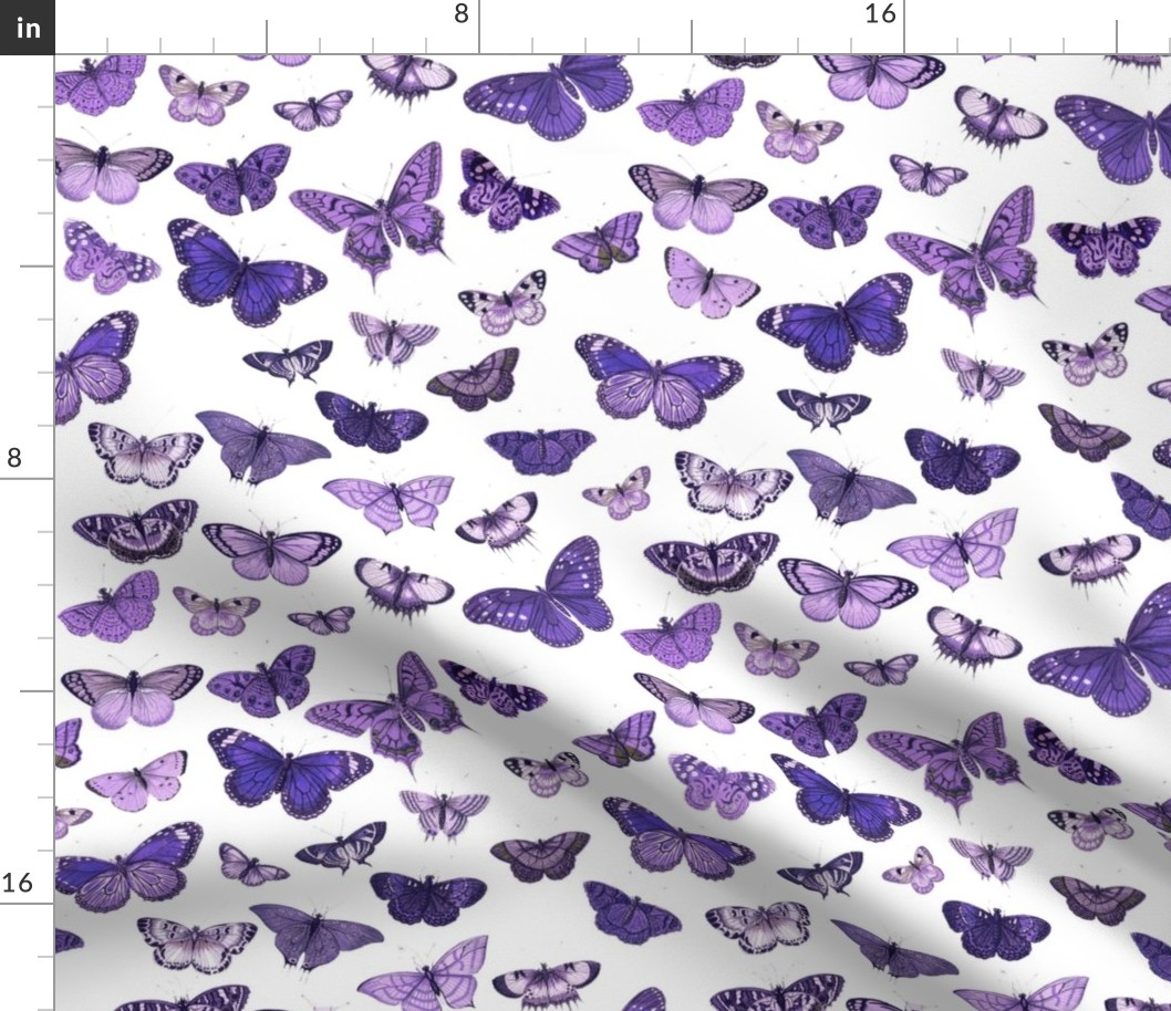 Flutter, Butterflies Purple RePrint