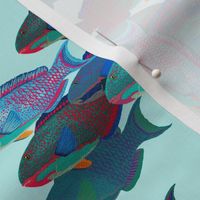 Parrotfish seule, on pale aqua by Su_G