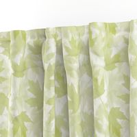 Maple Layers - light green