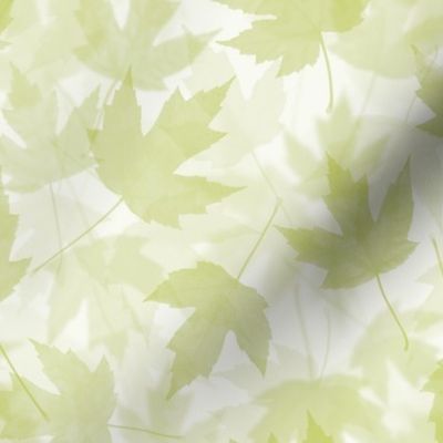 Maple Layers - light green