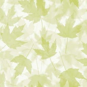 Maple Layers - light green