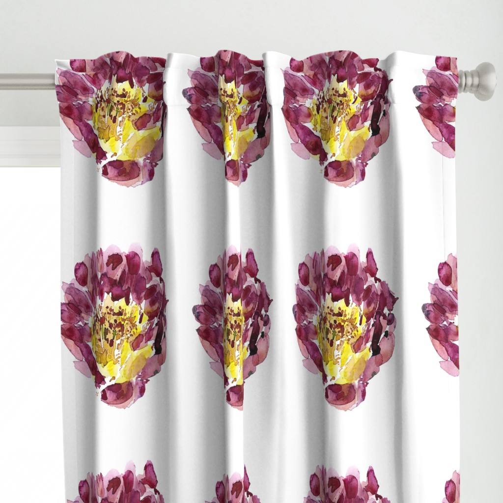 C'EST LA VIV™ Garden Lark Collection_Single Peony