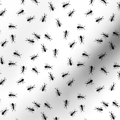 ants marching