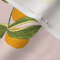 Jenny kumquat on blush