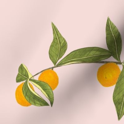 Jenny kumquat on blush