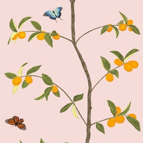 Jenny kumquat on blush