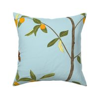 Jenny kumquat on light blue