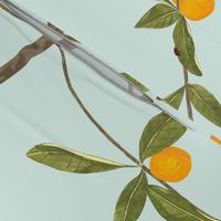 Jenny kumquat on mint