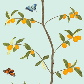 Jenny kumquat on mint