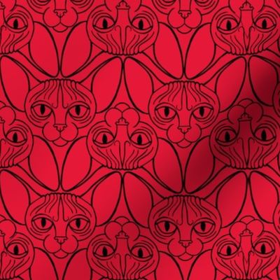 Sphynx Cat Chevron Red Lines