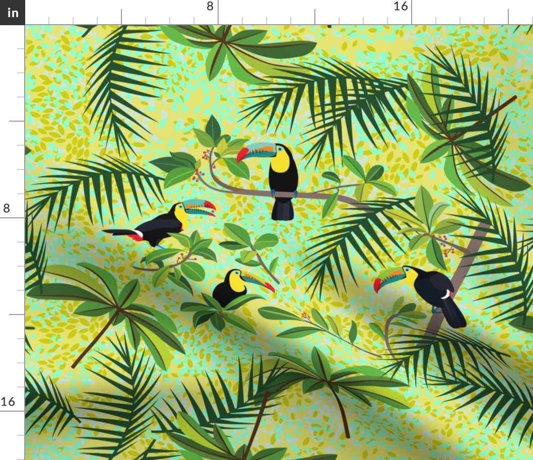 Toucans