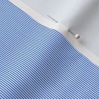tiny blue stripes 12th scale