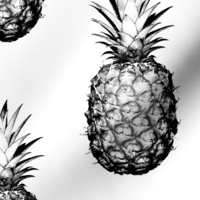 Pineapples black and white large