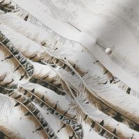 Owl Feathers