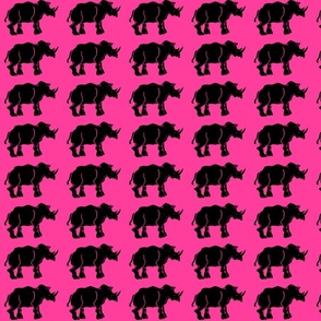 New Black Rhino on Hot Pink