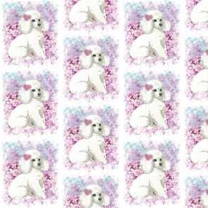 White Poodle with Lilacs