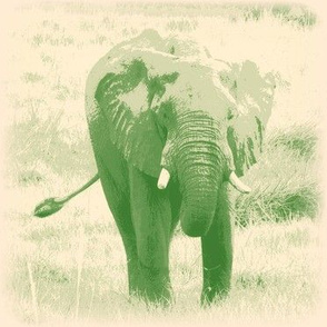 Winsome Elephant