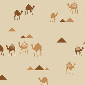 camels and pyramids