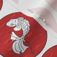 koi_fish_red_white