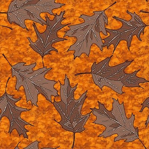 oak_leaves_on_orange_leaf_litter