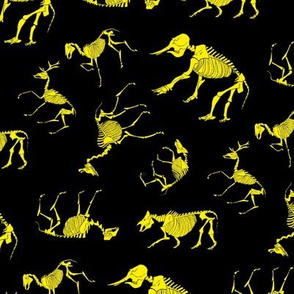 Ungulates black/yellow