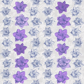 Daffodil Stripe (Purple)