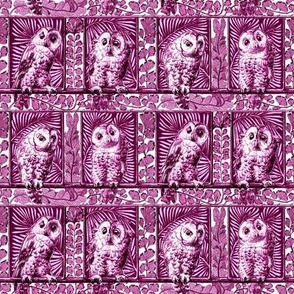 boxed owls berry pink