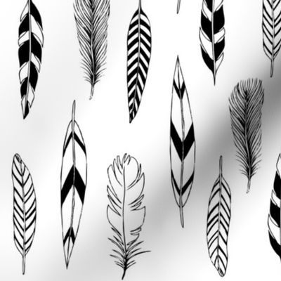 Feathers Black and White