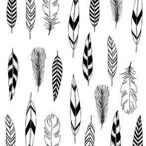 Feathers Black and White