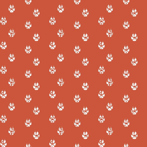 Red Fox Paw Prints