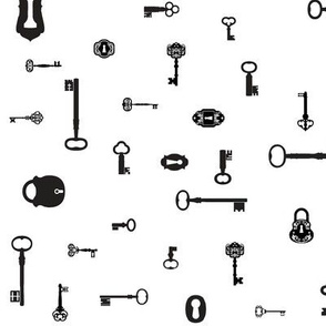 Keys and Locks
