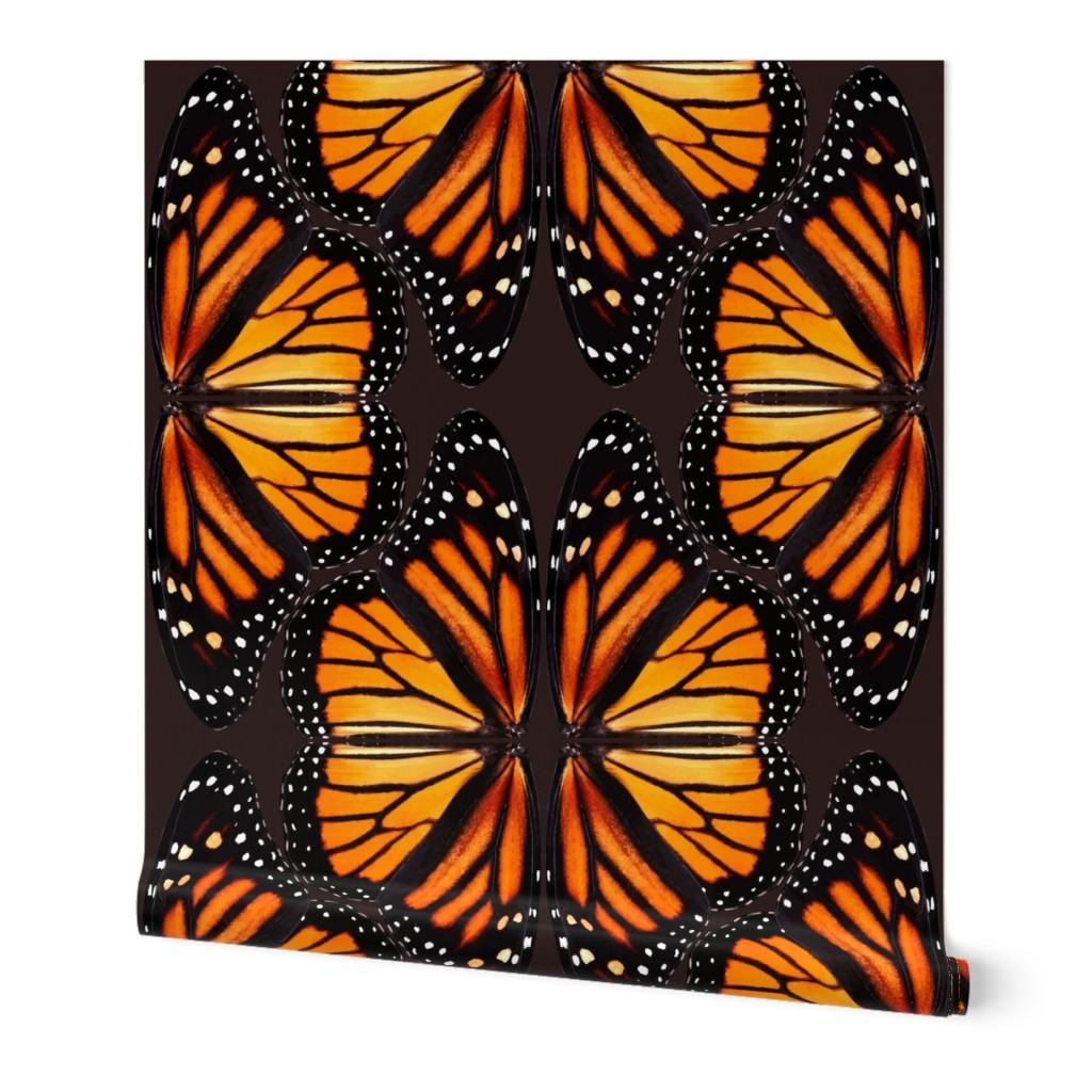 Orange Monarch Butterfly Wings - smaller