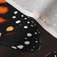 Orange Monarch Butterfly Wings - smaller
