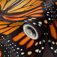 Orange Monarch Butterfly Wings - smaller