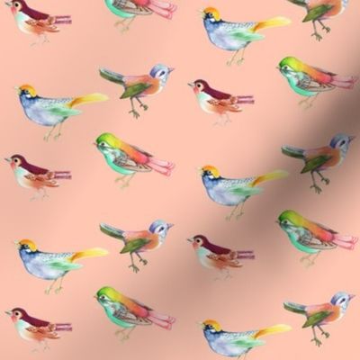 Song Birds on Peach