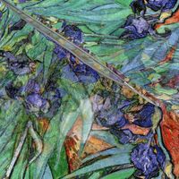 Van Gogh Irises 