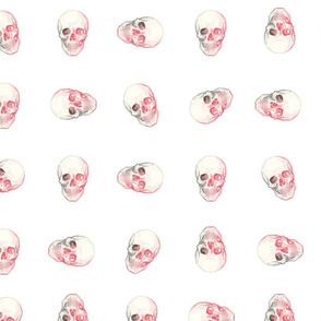 Skulls on white