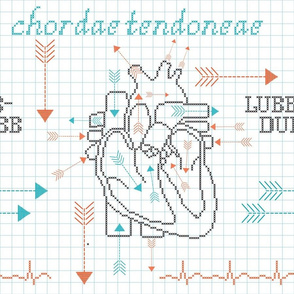Heart Strings Cardiology Sampler