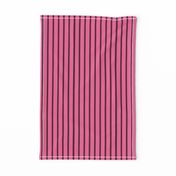 Wide pink stripes on narrow dark brown stripes.
