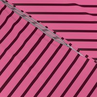 Wide pink stripes on narrow dark brown stripes.